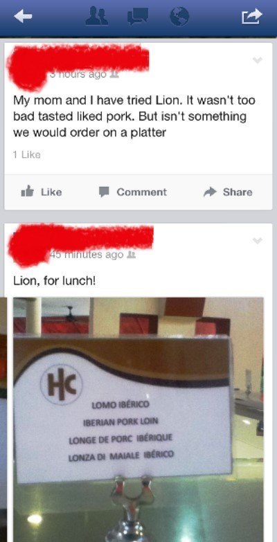 Lion For Lunch