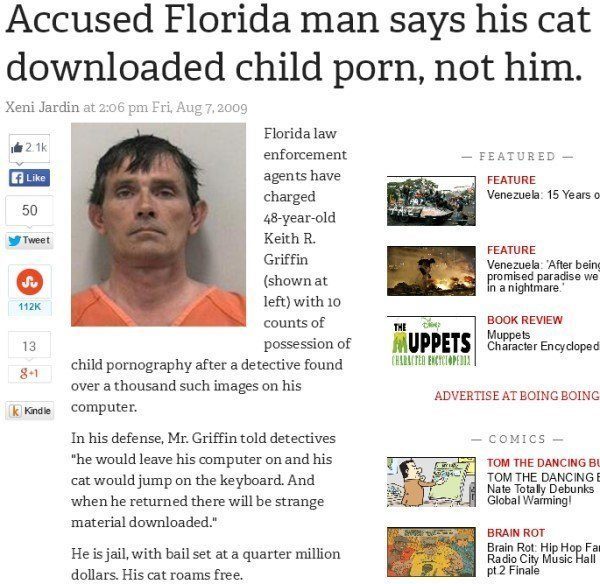 Florida Man Cat Downloads