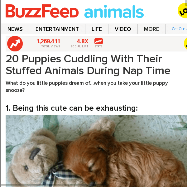 Funny Buzzfeed Articles