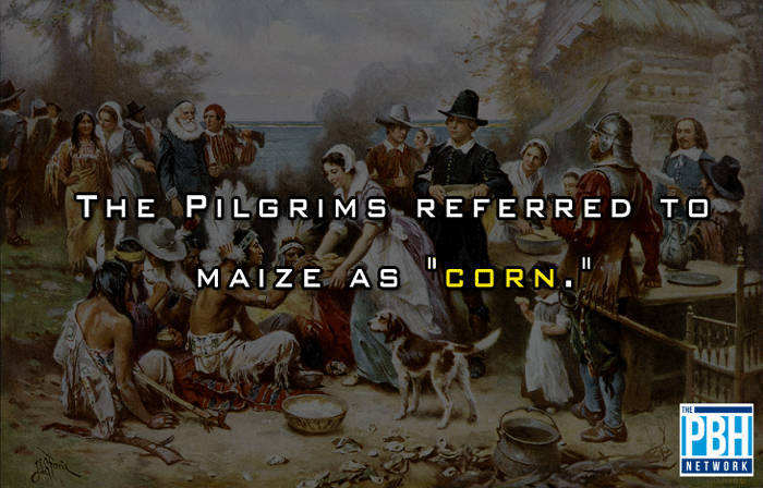 Pilgrims Word For Maize