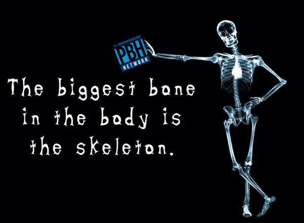 The Biggest Bone In The Body