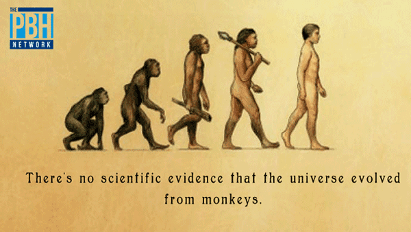 The Universe Evolved From Monkeys