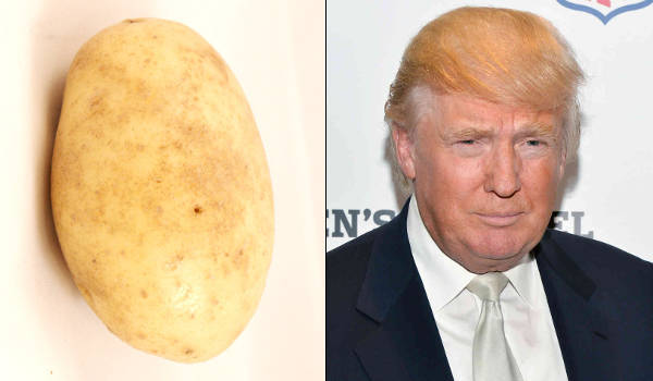 Donald Trump As A Potato