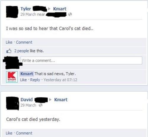 Carols Cat