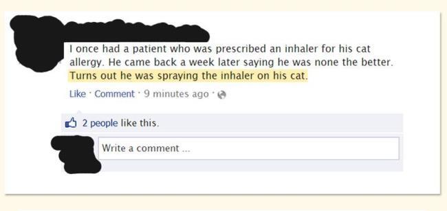 Allergy Inhaler For The Cat