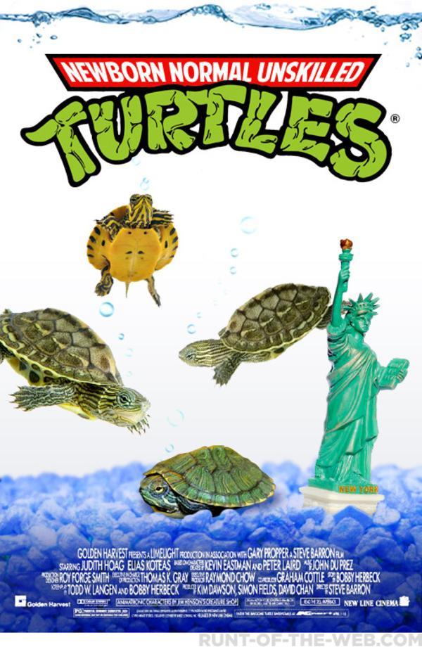 Ninja Turtles prequel