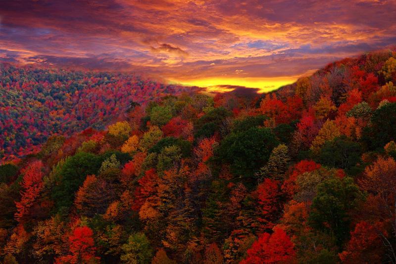 Colorful Fall Photos Sunset