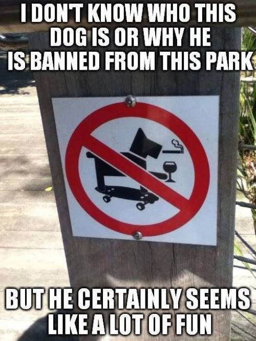 Funny Signs Epic Dog
