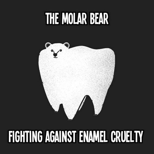Molar Bears