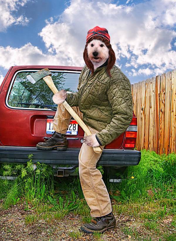 Dog Lumberjack