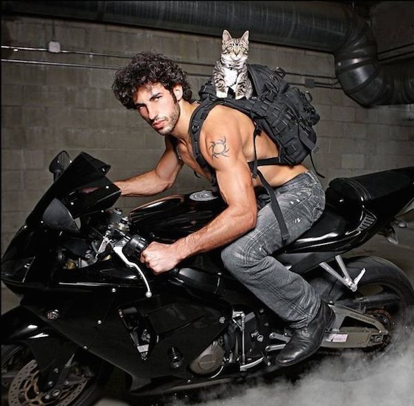 Hot Guy On A Motorcycle With Kitten