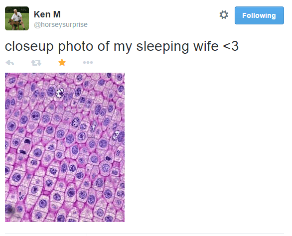 Ken M Funny Tweets