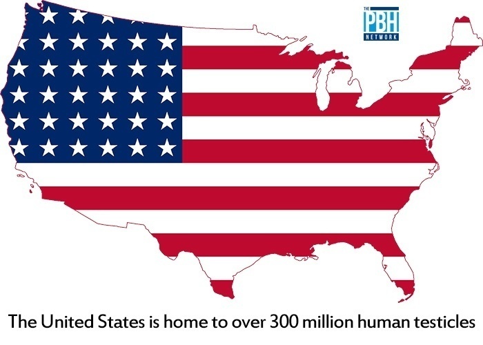 The United States Is Home To Over 300 Million Human Testicles