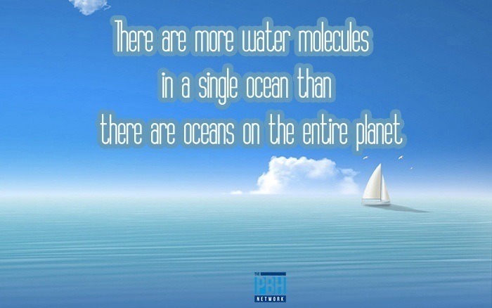 There Are More Water Molecules In A Single Ocean Than There Are Oceans On The Entire Planet