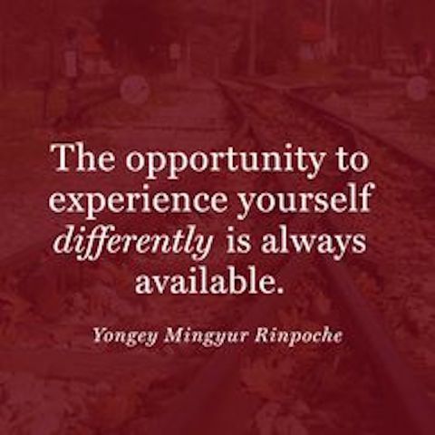 Opportunity And Experiences