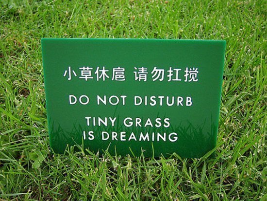 Lost In Translation Signs Grass Dreaming
