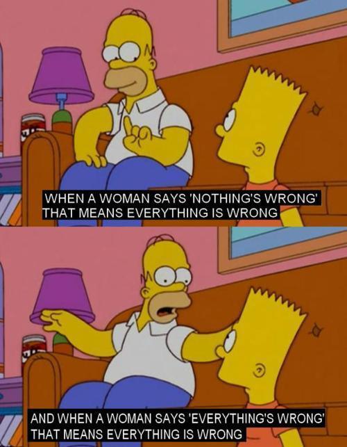 Homer Simpson On Women