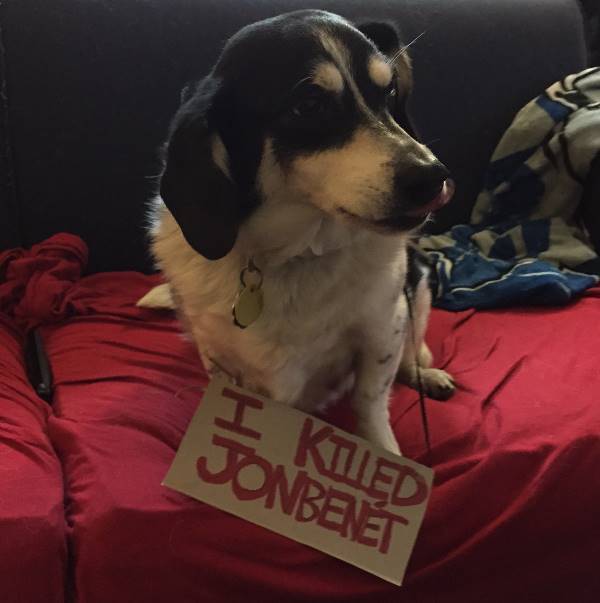 Dog Shaming Jon Benet
