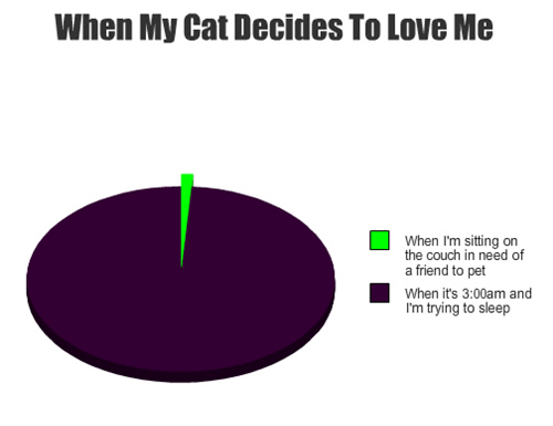 Cats Funny Pie Charts