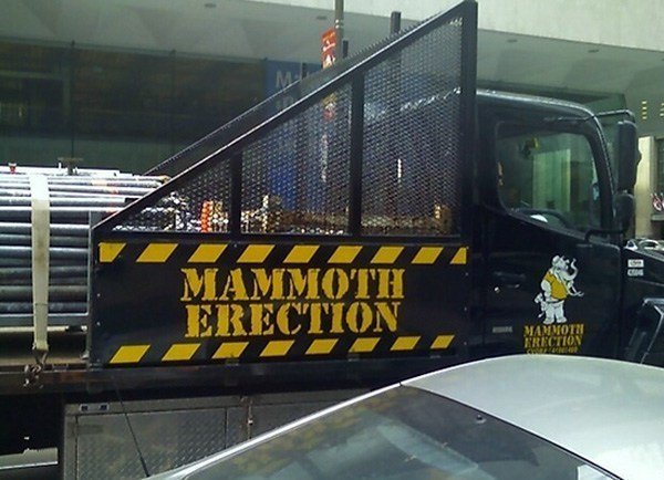 Mammoth Erection