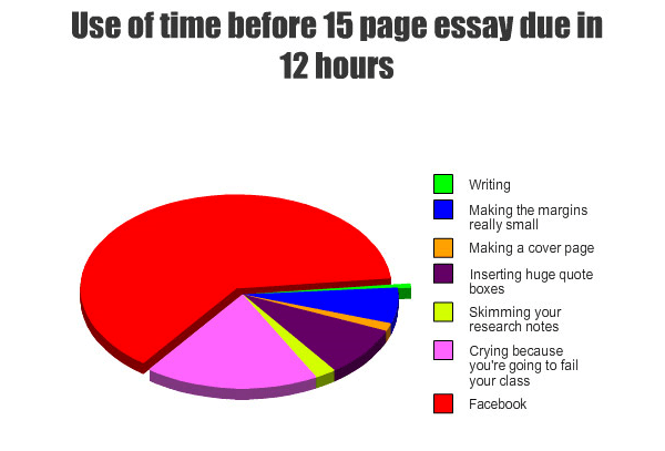 Writing Essays Pie Chart