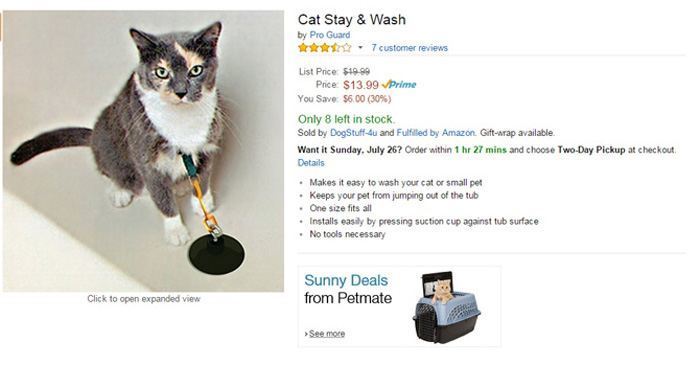 Cat Stay Wash