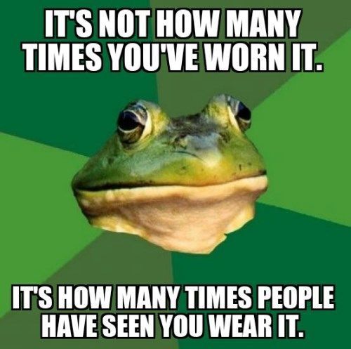 Funniest Memes Bachelor Frog