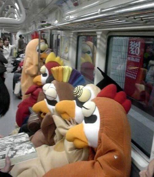 Angry Birds Insane Transit