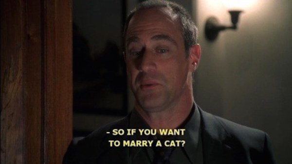Detective Stabler Gay Rights