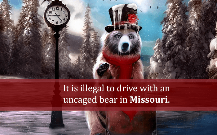 Drive Uncaged Bear