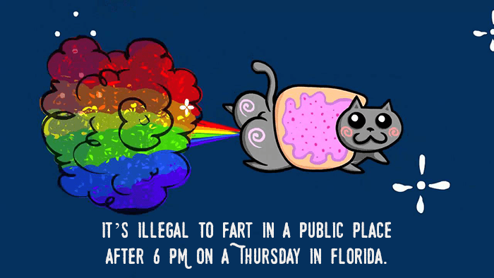 Public Farting In Florida