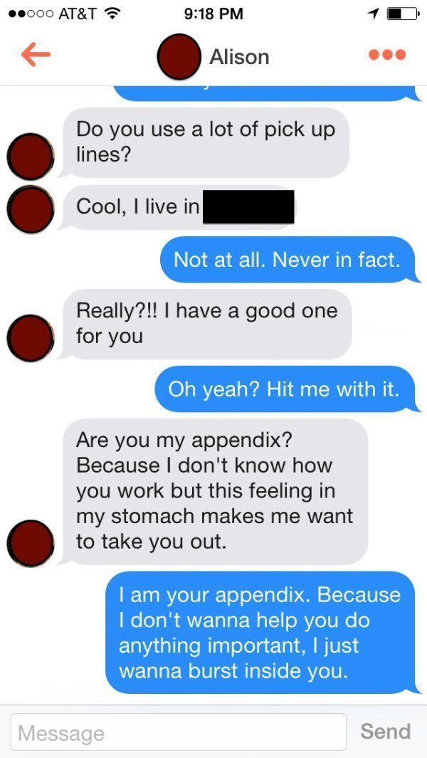 Tinder Pick Up Lines Appendix