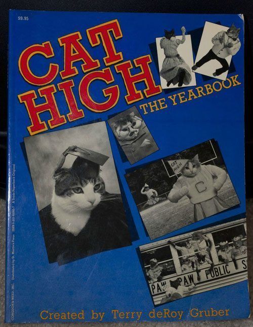 Cat High