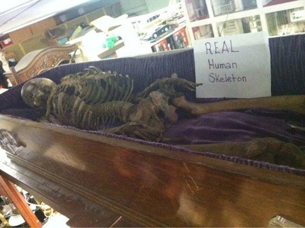 Real Skeleton Thrift Shop
