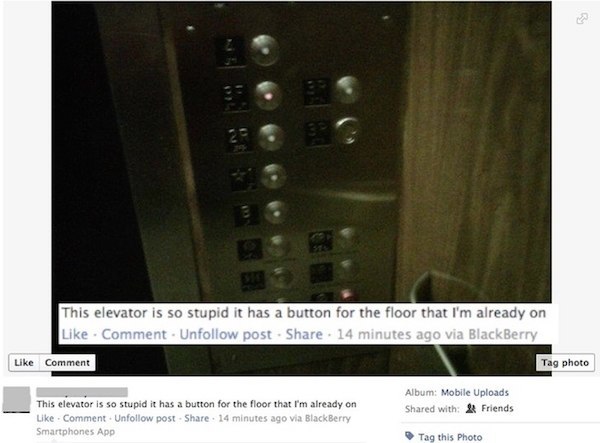 Stupid Elevator Dumb Quotes