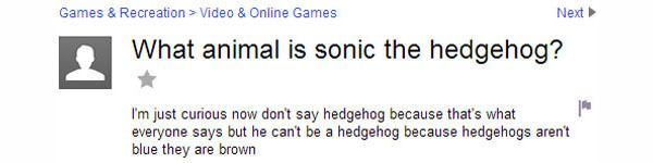 What Animal Is Sonic