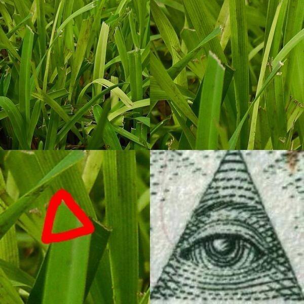 Grass Or Illuminati
