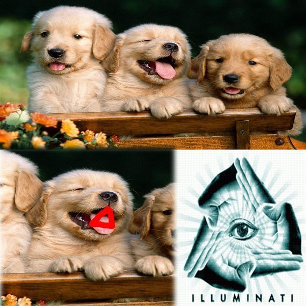 Puppy Illuminati