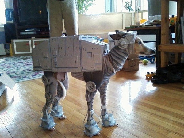 Star Wars Fan Dog