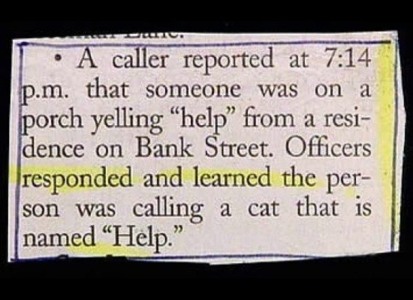 Cat Cops Called