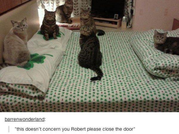 Close The Door Robert