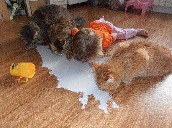 Kid Sipping Milk