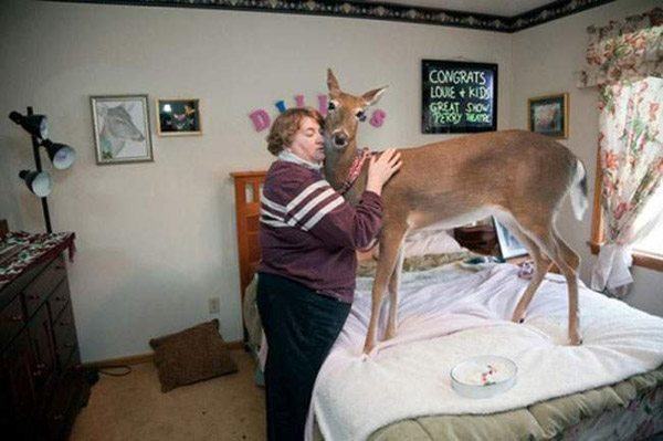 Lady With Her Deer