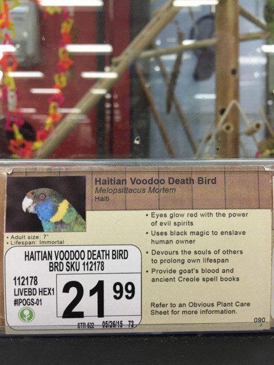 Voodoo Death Bird