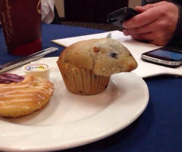 Delicious Rat Muffin