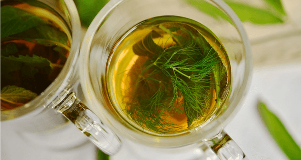 Disgusting Remedies Herb Tea