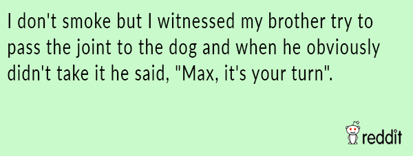 Max Take A Hit