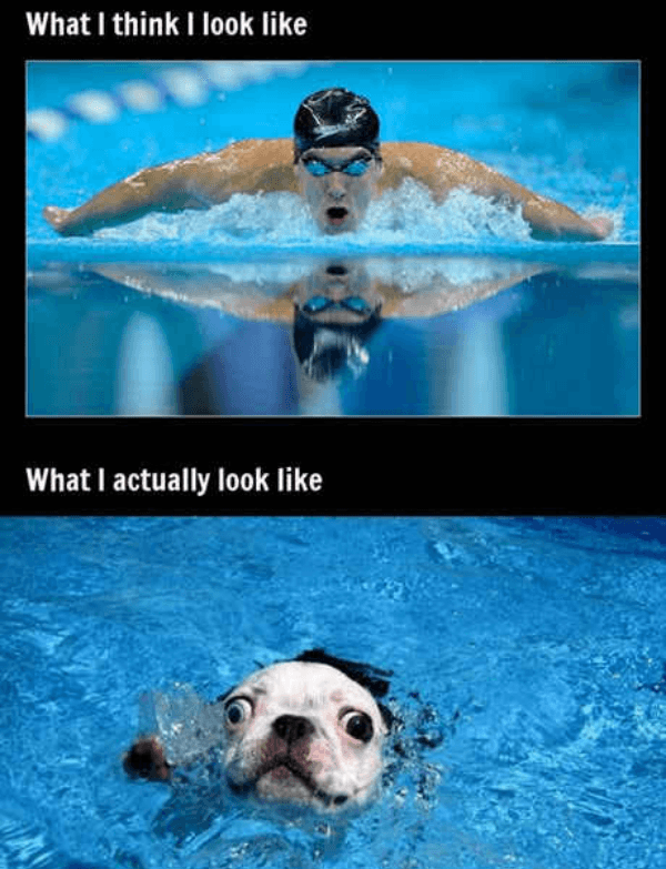 Swimming Expectations Vs Reality