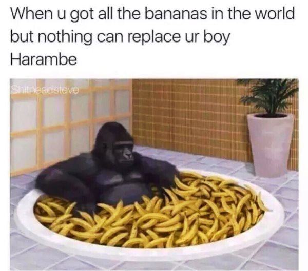 All The Bananas
