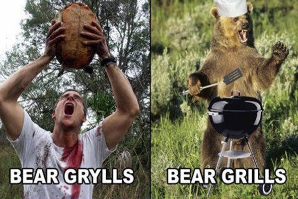 Bear Grylls Namepun